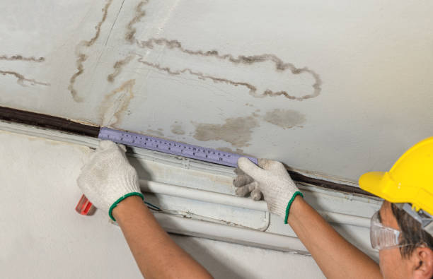 Reliable Structural Drying contractor in Riegelsville, PA by Water Damage Irwin